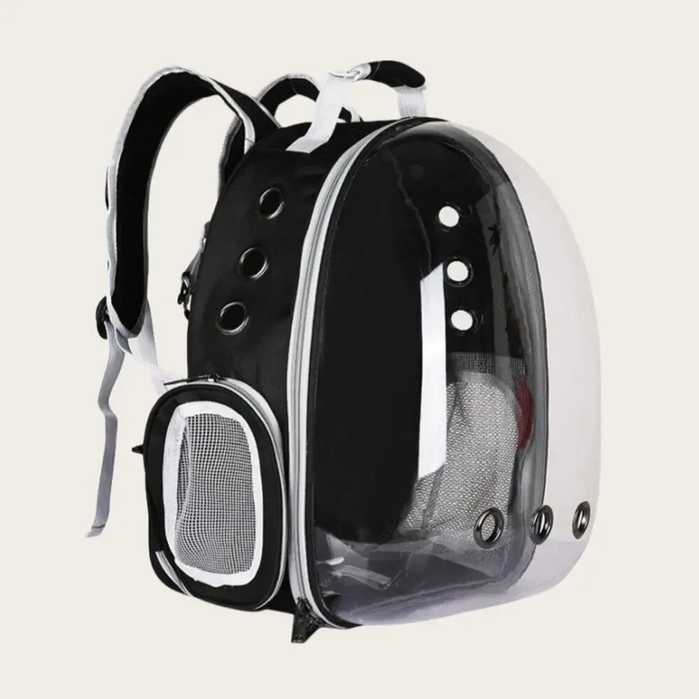 3-in-1 Kitten Kit: Space Capsule Backpack, Pet Hat & Accordion Scratcher